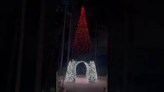 Christmas tree light shoo  elveden centre parcs [upl. by Dominy195]