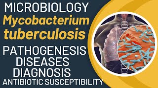 Mycobacterium tuberculosis disease  Mycobacterium tuberculosis pathogenesis  TB lab diagnosis [upl. by Renrag]