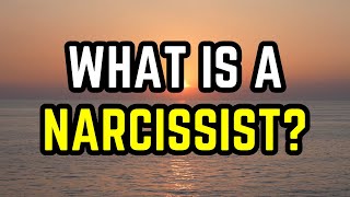 What is a Narcissist 8 Key Traits [upl. by Kcid381]