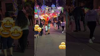 Summer VLOG ZOO LIGHTS FRANKLIN PARK ZOO [upl. by Hurlow]