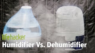 Humidifier VS Dehumidifier [upl. by Gardia539]