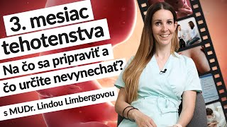 3 mesiac 9 – ⁠13 tt  Tehotenstvo týždeň po týždni  tehotenstvo [upl. by Aihk]