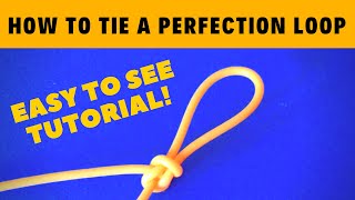 How to Tie a Perfection Loop  Best Fly Fishing Knots  Easy to Follow Tutorial [upl. by Notseh]