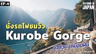 เที่ยวญี่ปุ่น EP4 นั่งรถไฟชมวิว หุบเขาคุโรเบะ Kurobe Gorge Railway  2017  Follow me  ตามฉันมา [upl. by Keryt]