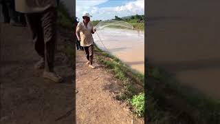 Fisherman Cast Net Fishing Real Life Amazing Fishing At CountrysideEpisode 141 [upl. by Gonagle]