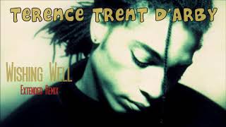 Terence Trent DArby  Wishing Well Extended Remix [upl. by Blader]