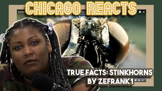 True Facts Stinkhorns by zefrank1  First Time Reaction [upl. by Napas]