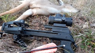 Deer Hunting with a Bat  Ballista Bat Pistol Crossbow [upl. by Yroggerg]