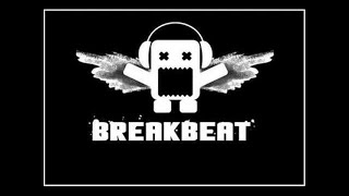 FUNKY BREAKBEAT MIX [upl. by Selij820]