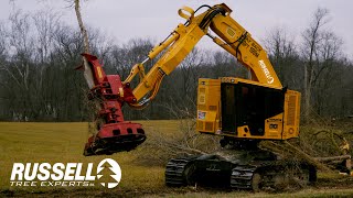 Infrastructure Clearing with a Feller Buncher Komatsu XT4455  Quadco 2900 [upl. by Shipley]