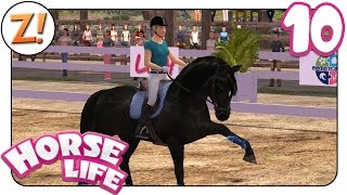 Horse Life  Freunde für immer Wunderschöner Spanischer Schritt 10  Lets Play ★ GERMANDEUTSCH [upl. by Sofko]