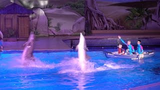 Dolfijnen show Dolphin Bay Adventure Boudewijn Seapark 2016 [upl. by Corney]