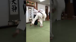 2024 Aikido Ryu Kagami biraki  Ando shihan aikido martialarts åˆæ°—é“ æ­¦é“ [upl. by Vita]