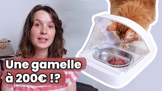 Mon avis sur la gamelle Surefeed  une gamelle automatique [upl. by Any5]