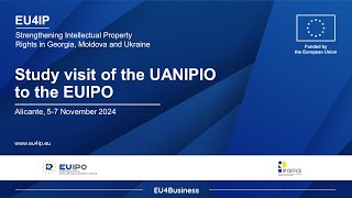 UANIPIO study visit to the EUIPO [upl. by Redford]