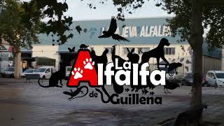 La Alfalfa de Guillena [upl. by Eerazed]