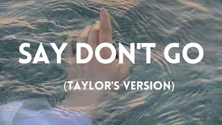 TAYLOR SWIFT  say dont go from the vault taylors version lyrics [upl. by Saerdna665]