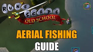 Aerial Fishing Guide  Old School RuneScape [upl. by Westphal]