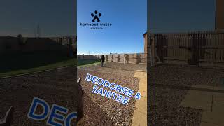 Transforming a Garden into a PetFriendly Paradise in 40 Seconds doglife communitycleanup [upl. by Arda]