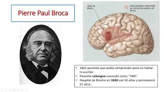 Neuropsicología de las Afasias 1 [upl. by Ulrica]