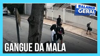 Bandidos usam mala para carregar objetos roubados de casa em SP [upl. by Eimiaj]