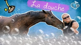 DOUCHER SON CHEVAL 🚿 [upl. by Hudson]