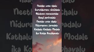 neetho unte chalu  ekadiki pothavu chinnavada  lyrics video song  nikhil  hebha Patel [upl. by Nagard928]