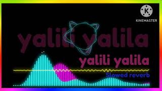 yalili yalila full song slowed reverb best song yalili yalila [upl. by Kurtz]