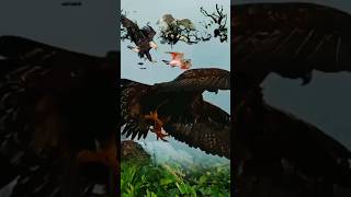 Falcon attack😂birds😂shortsvideotreding video viraljaya Patel😂🙏 [upl. by Malinowski]