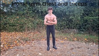 Home Gym Chest and Triceps Workout [upl. by Inman]