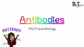 Antibodies Structure and function ASA level Biology  BioTeach [upl. by Atiran]