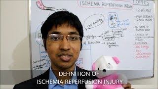 Ischemia Reperfusion Injury HD [upl. by Stander]