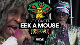 Eek a Mouses Unforgettable Live Act Reggae Rotterdam Festivals Insane Moment [upl. by Namref184]