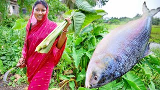 2 kg সাইজের ইলিশমাছ কেটে বেগুন দিয়ে রান্না সাথে ইলিশ মাছের মাথা দিয়ে কচু শাক  hilsha fish recipe [upl. by Airyt]