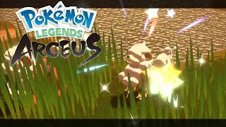 Shiny Hisuian Growlithe Pokemon Legends Arceus [upl. by Algie]