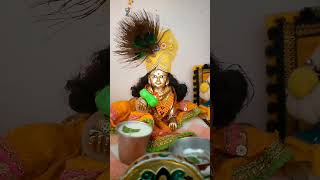 Laddu Gopal bhojan [upl. by Delaney]