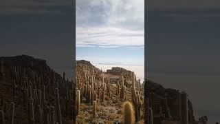 Salda de Uyuni tuz gölü traveler uyunibolivia bolivia cactusisland [upl. by Philips]