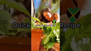 Quick Callaloo recipe 🇯🇲 jamaicanfood foodrecipe jamaican cookingvideo cookingshorts [upl. by Selegna294]