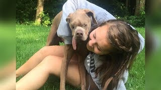 Teen Girl Falls In Love With Disfigured Dog Found On Puerto Rico’s “Dead Dog Beach ” [upl. by Triplett]