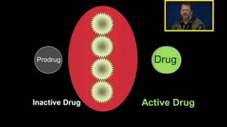 Biotransformation Prodrugs [upl. by Leissam]