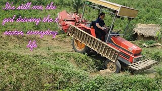 Raise beds to plant elephant grass to feed goats QuangMinhToan [upl. by Naji]