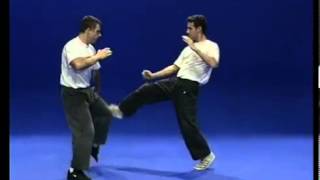 Tutorial Krav Maga Techniques [upl. by Erdnoid]