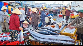 Lots of sailfish and mackerel at the Vietnamese seafood market [upl. by Areem]