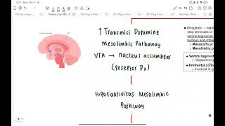 PATOFISIOLOGI NBS CASE 7 quotSkizofrenia Paranoidquot  ray [upl. by Sage]