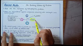 Nucleic Acids  RNA and DNA Structure  Biochemistry [upl. by El]