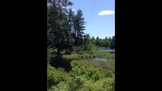 2015 Oswegatchie Zipline [upl. by Niwde]