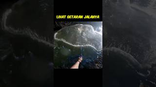 Jala Terbang Ikanpun Meronta fishing jalaikan Tebarjala [upl. by Carleton]