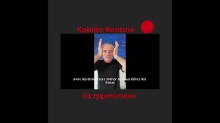 Routine Kobido sur visage Travail sur os zygomatique [upl. by Hansiain682]