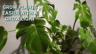 How to Grow Your Monstera Grow light for indoor plants [upl. by Lammaj81]