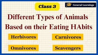 Types of animals based on their Eating Habits  Class 3 Science Complete Chapter generallearnings91 [upl. by Eenalem]